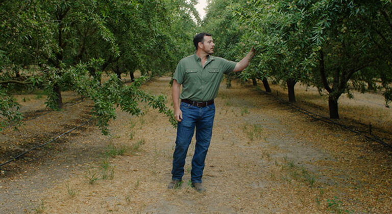 What is the best Form of Nitrogen for Your Field