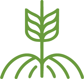 row-crops
